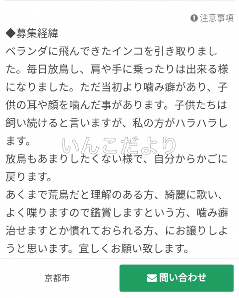 コメントの画像