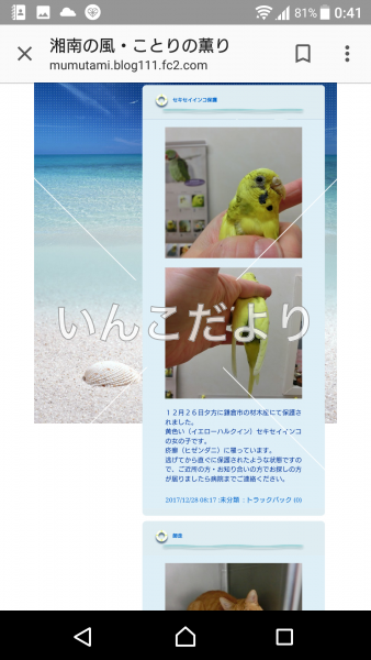 コメントの画像