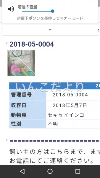 コメントの画像