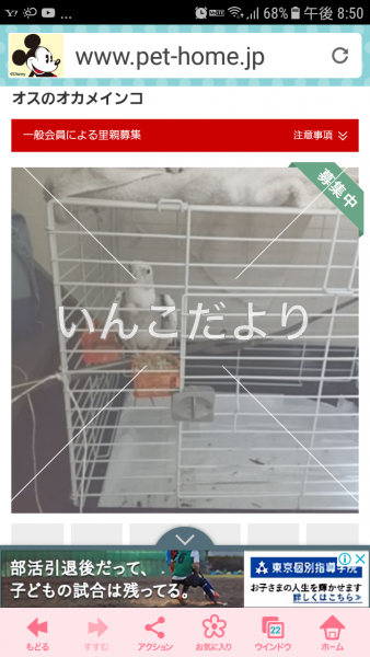 コメントの画像