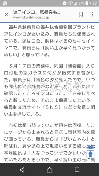 コメントの画像