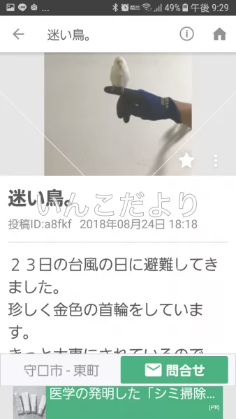 コメントの画像