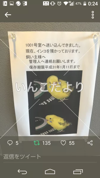 コメントの画像