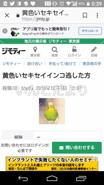 コメントの画像