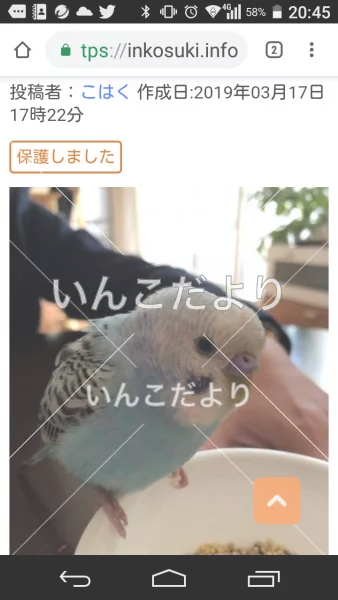コメントの画像