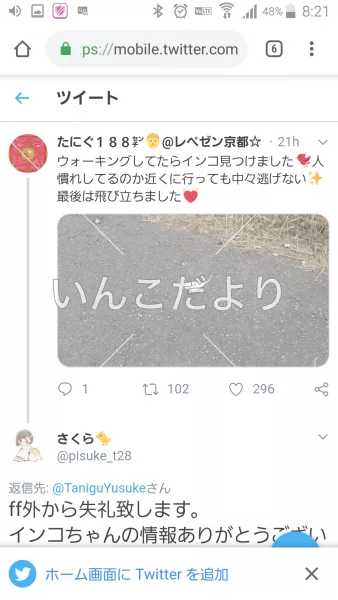 コメントの画像