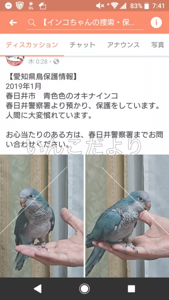 コメントの画像