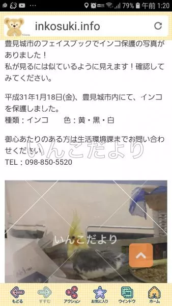 コメントの画像