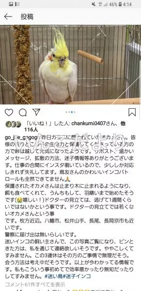 コメントの画像