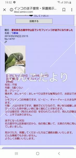 コメントの画像