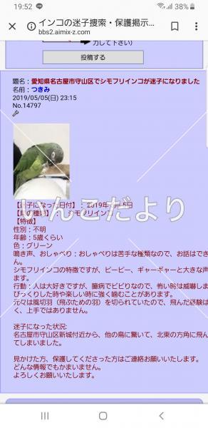 コメントの画像