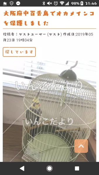 コメントの画像