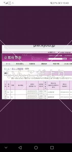 コメントの画像