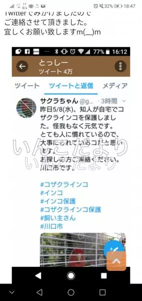 コメントの画像