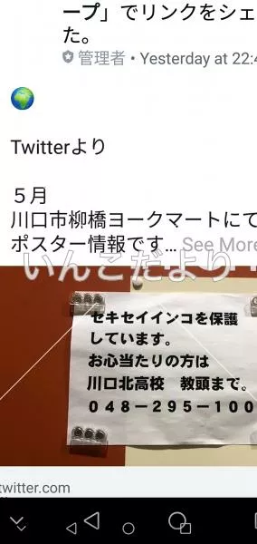 コメントの画像