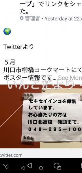 コメントの画像