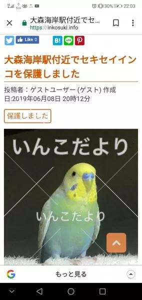 コメントの画像