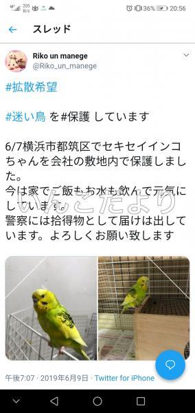 コメントの画像