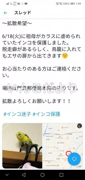 コメントの画像