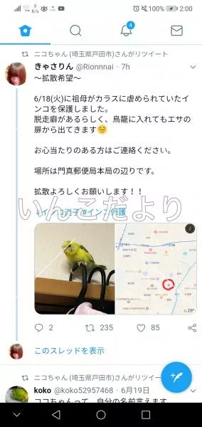 コメントの画像