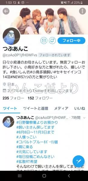 コメントの画像