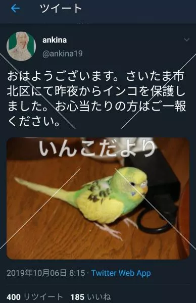 コメントの画像