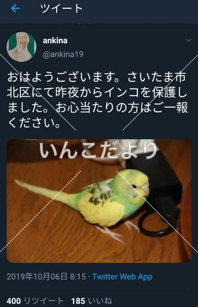 コメントの画像