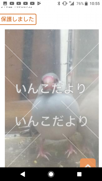 コメントの画像