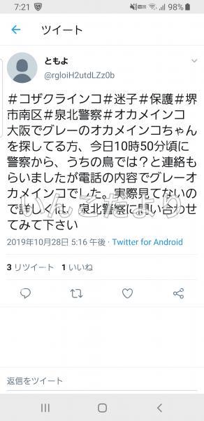コメントの画像