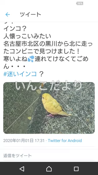 コメントの画像