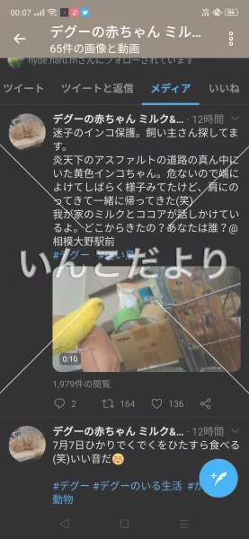 コメントの画像