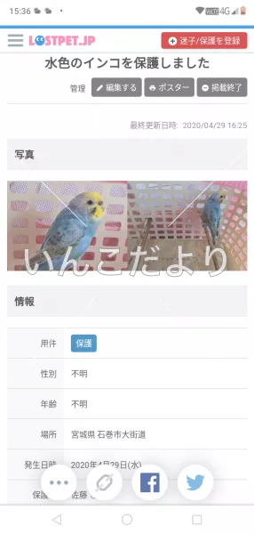 コメントの画像