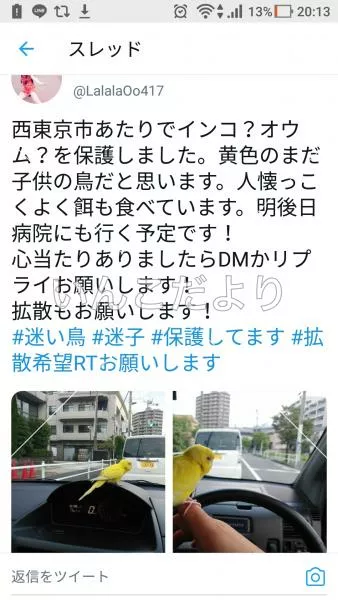 コメントの画像