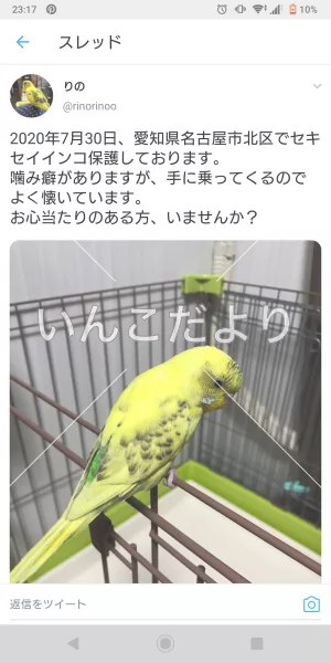 コメントの画像