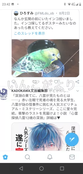 コメントの画像