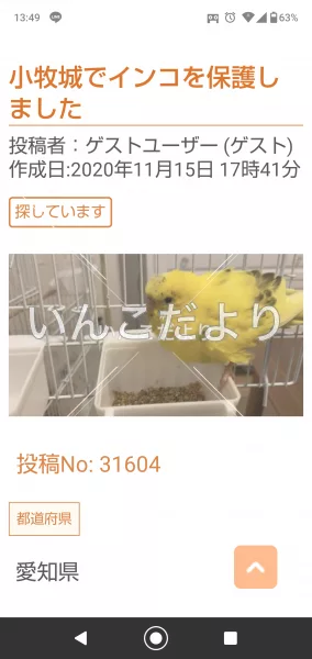 コメントの画像