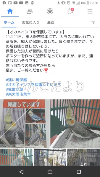 コメントの画像