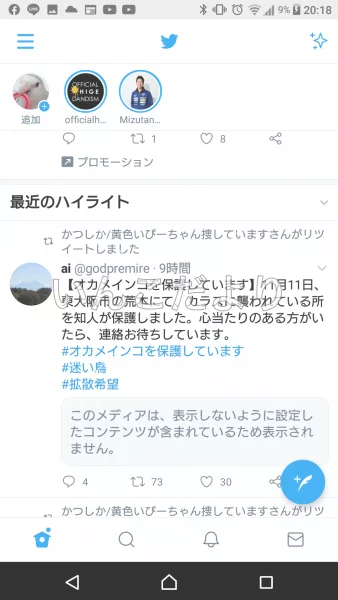 コメントの画像