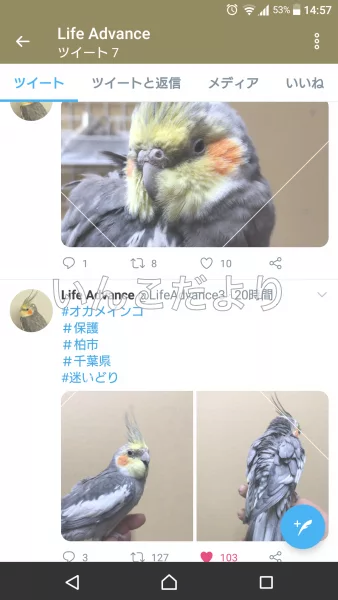 コメントの画像