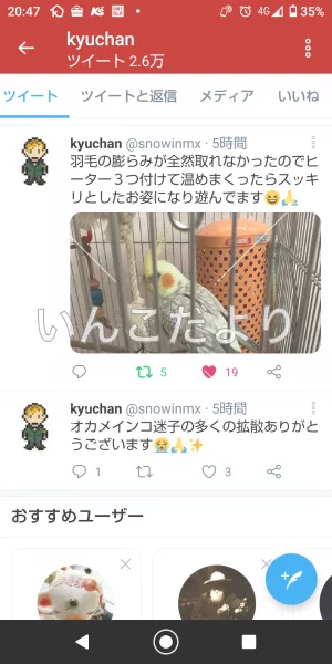 コメントの画像