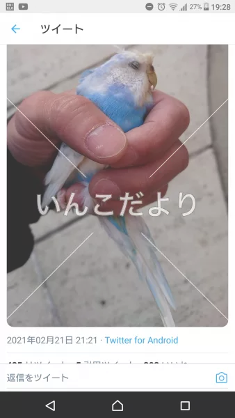 コメントの画像