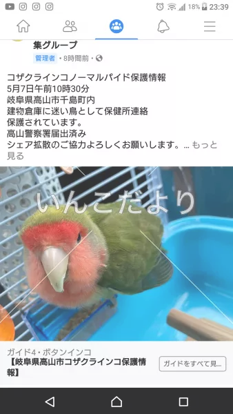 コメントの画像