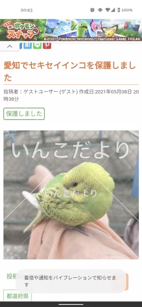 コメントの画像