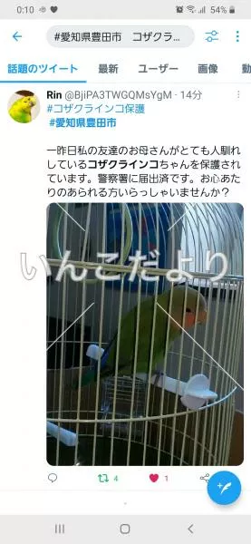 コメントの画像