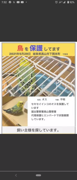 コメントの画像