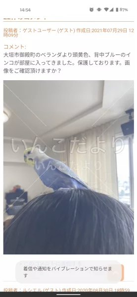 コメントの画像