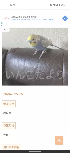 コメントの画像