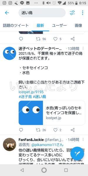 コメントの画像