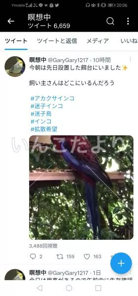 コメントの画像