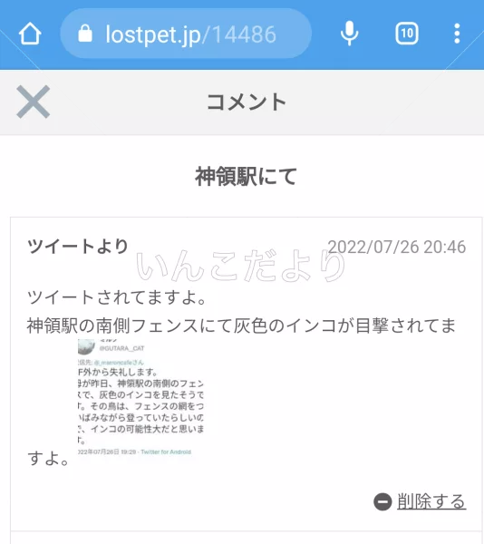 コメントの画像